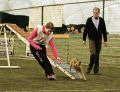 brida agility vb4.jpg